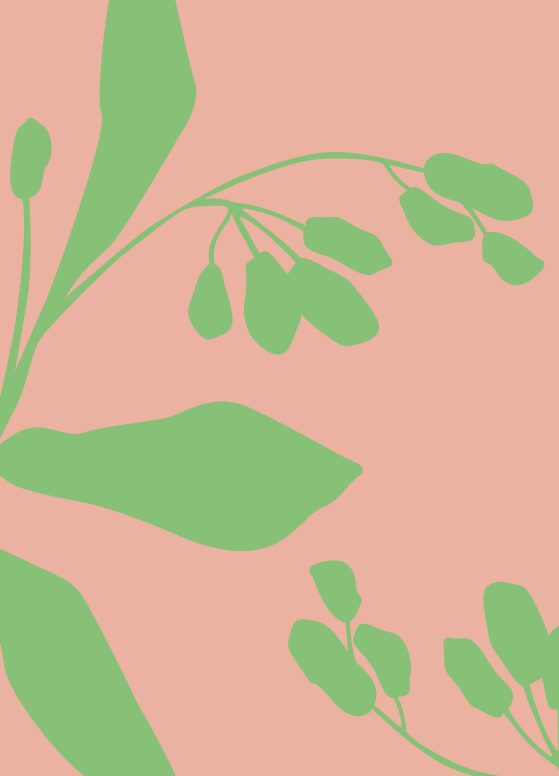 Geschenkgutschein - 25.-