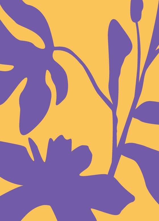 Geschenkgutschein - 100.-