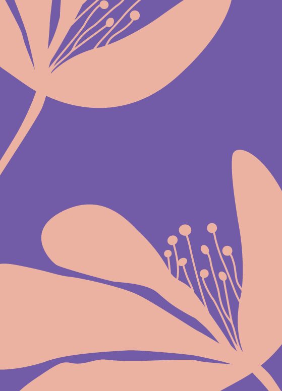 Geschenkgutschein - 50.-